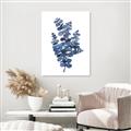 Picture of Blue Color Eucalyptus II  _GroupedProduct_Rectangle_Portrait_Unframed_Print_Only_