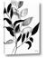 Picture of Black Botanical