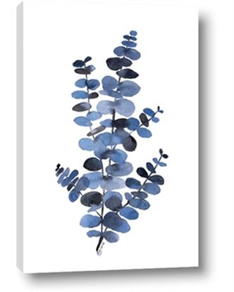 Picture of Blue Color Eucalyptus I 