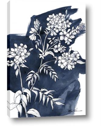Picture of White Flower on blue bkg