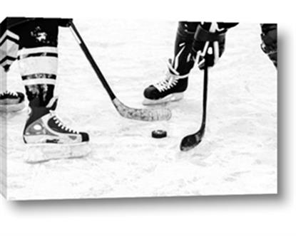 Picture of Hockey Players