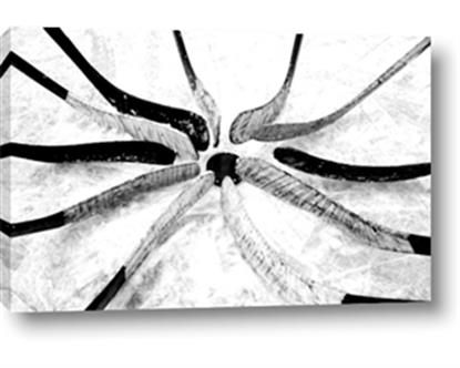 Picture of Hockey Sticks