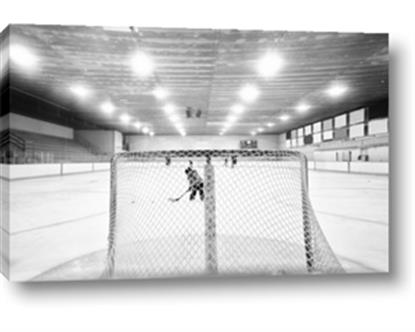 Picture of Behind the Net