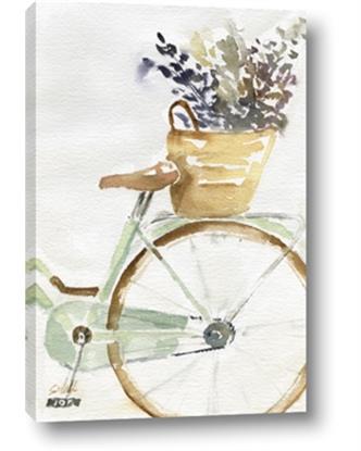 Picture of Spring Bike I 