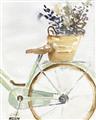 Picture of Spring Bike I  _GroupedProduct_Rectangle_Portrait_Unframed_Print_Only_