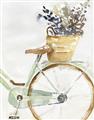 Picture of Spring Bike I  _GroupedProduct_Rectangle_Portrait_Unframed_Print_Only_
