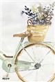 Picture of Spring Bike I  _GroupedProduct_Rectangle_Portrait_Unframed_Print_Only_