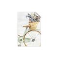 Picture of Spring Bike I  _GroupedProduct_Rectangle_Portrait_Unframed_Print_Only_