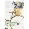 Picture of Spring Bike I  _GroupedProduct_Rectangle_Portrait_Unframed_Print_Only_