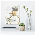 Picture of Spring Bike I  _GroupedProduct_Rectangle_Portrait_Canvas_