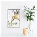 Picture of Spring Bike I  _GroupedProduct_Rectangle_Portrait_Canvas_Framed_