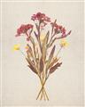 Picture of Dried Flowers I  _GroupedProduct_Rectangle_Portrait_Unframed_Print_Only_