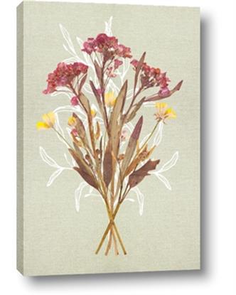 Picture of Dried Flowers with Outline I