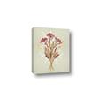Picture of Dried Flowers with Outline I _GroupedProduct_Rectangle_Portrait_Canvas_