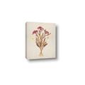 Picture of Dried Flowers I  _GroupedProduct_Rectangle_Portrait_Canvas_