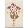 Picture of Dried Flowers I  _GroupedProduct_Rectangle_Portrait_Canvas_