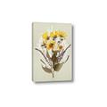 Picture of Dried Flowers with Outline II  _GroupedProduct_Rectangle_Portrait_Canvas_