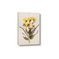Picture of Dried Flowers II  _GroupedProduct_Rectangle_Portrait_Canvas_