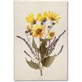 Picture of Dried Flowers II  _GroupedProduct_Rectangle_Portrait_Canvas_
