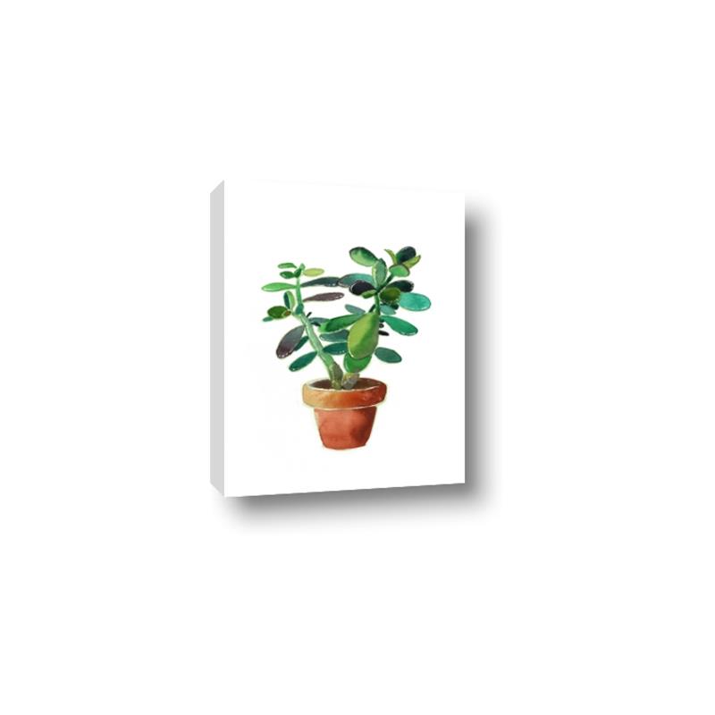 Picture of Aloe Plant _GroupedProduct_Rectangle_Portrait_Canvas_