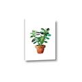 Picture of Aloe Plant _GroupedProduct_Rectangle_Portrait_Canvas_