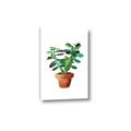 Picture of Aloe Plant _GroupedProduct_Rectangle_Portrait_Canvas_