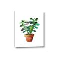 Picture of Aloe Plant _GroupedProduct_Rectangle_Portrait_Canvas_