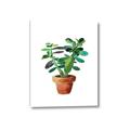 Picture of Aloe Plant _GroupedProduct_Rectangle_Portrait_Canvas_