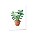 Picture of Aloe Plant _GroupedProduct_Rectangle_Portrait_Canvas_