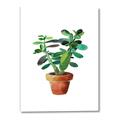 Picture of Aloe Plant _GroupedProduct_Rectangle_Portrait_Canvas_