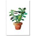 Picture of Aloe Plant _GroupedProduct_Rectangle_Portrait_Canvas_