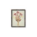Picture of Dried Flowers with Outline I _GroupedProduct_Rectangle_Portrait_Canvas_Framed_