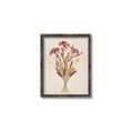 Picture of Dried Flowers I  _GroupedProduct_Rectangle_Portrait_Canvas_Framed_