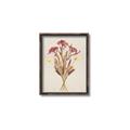 Picture of Dried Flowers I  _GroupedProduct_Rectangle_Portrait_Canvas_Framed_