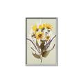 Picture of Dried Flowers with Outline II  _GroupedProduct_Rectangle_Portrait_Canvas_Framed_