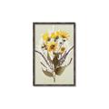 Picture of Dried Flowers with Outline II  _GroupedProduct_Rectangle_Portrait_Canvas_Framed_