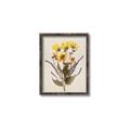 Picture of Dried Flowers II  _GroupedProduct_Rectangle_Portrait_Canvas_Framed_