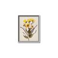 Picture of Dried Flowers II  _GroupedProduct_Rectangle_Portrait_Canvas_Framed_