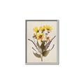 Picture of Dried Flowers II  _GroupedProduct_Rectangle_Portrait_Canvas_Framed_