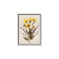 Picture of Dried Flowers II  _GroupedProduct_Rectangle_Portrait_Canvas_Framed_