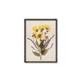 Picture of Dried Flowers II  _GroupedProduct_Rectangle_Portrait_Canvas_Framed_
