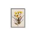 Picture of Dried Flowers II  _GroupedProduct_Rectangle_Portrait_Canvas_Framed_