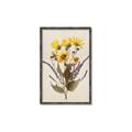 Picture of Dried Flowers II  _GroupedProduct_Rectangle_Portrait_Canvas_Framed_