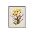 Picture of Dried Flowers II  _GroupedProduct_Rectangle_Portrait_Canvas_Framed_