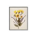 Picture of Dried Flowers II  _GroupedProduct_Rectangle_Portrait_Canvas_Framed_