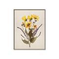 Picture of Dried Flowers II  _GroupedProduct_Rectangle_Portrait_Canvas_Framed_