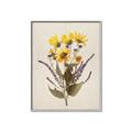 Picture of Dried Flowers II  _GroupedProduct_Rectangle_Portrait_Canvas_Framed_