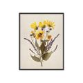 Picture of Dried Flowers II  _GroupedProduct_Rectangle_Portrait_Canvas_Framed_