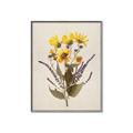 Picture of Dried Flowers II  _GroupedProduct_Rectangle_Portrait_Canvas_Framed_