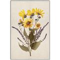 Picture of Dried Flowers II  _GroupedProduct_Rectangle_Portrait_Canvas_Framed_